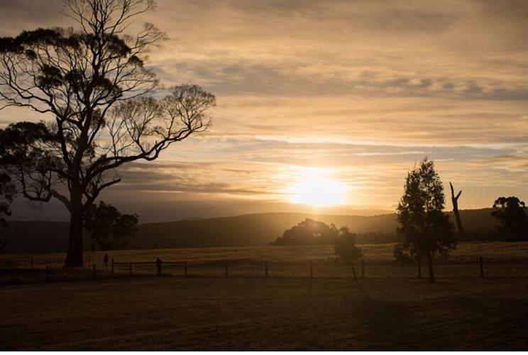 Rooks Edge Bed & Breakfast Gisborne Luaran gambar