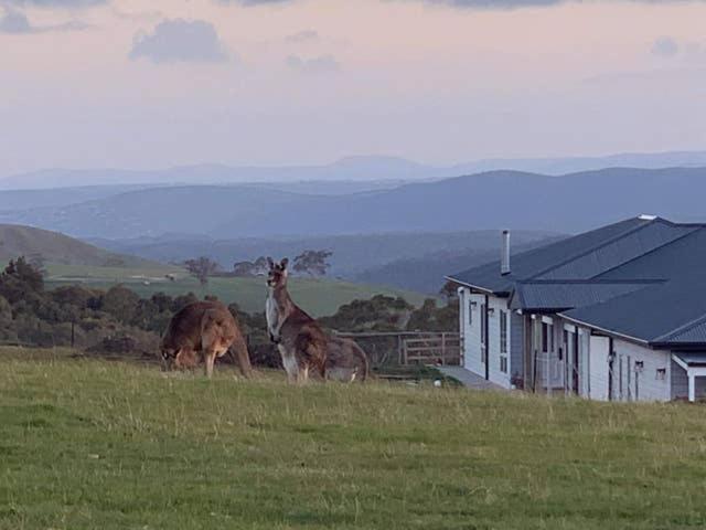 Rooks Edge Bed & Breakfast Gisborne Luaran gambar